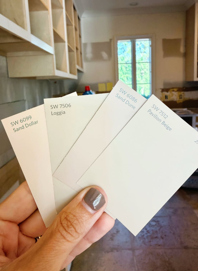 hand holding paint swatches